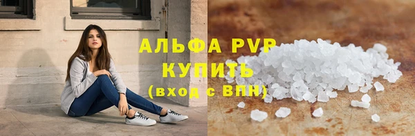 прущий лед Бородино