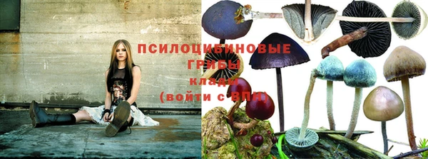 не бодяженный Бронницы
