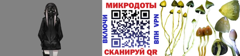 Псилоцибиновые грибы Magic Shrooms Кирсанов